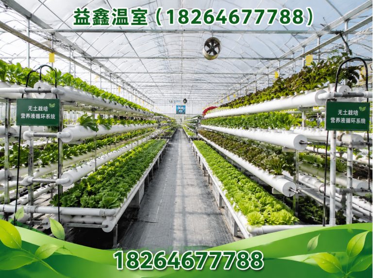 诸城市益鑫温室展示图